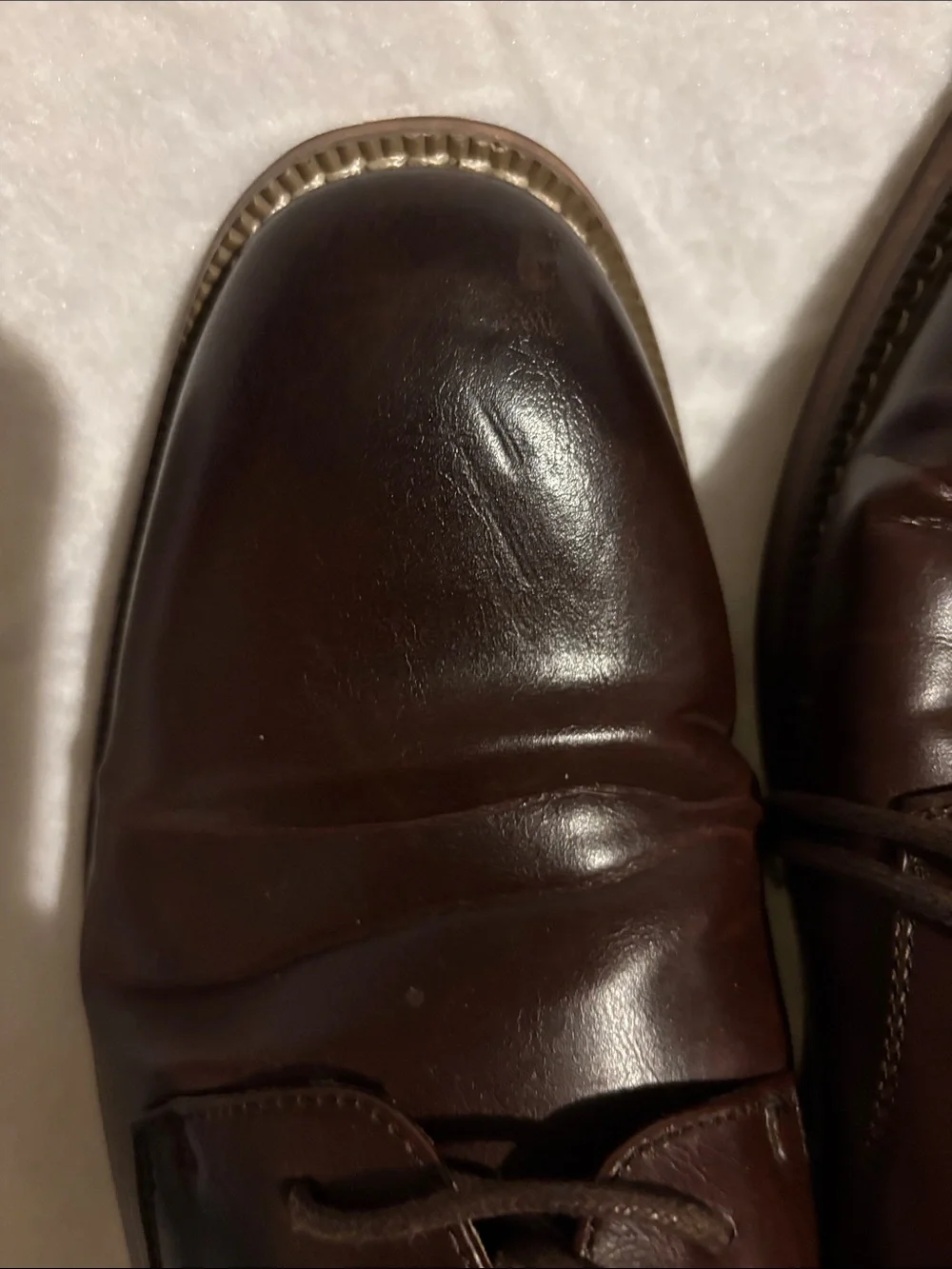 Todd Welsh dark brown